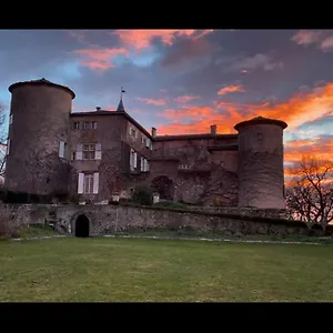 Chateau De Montcuquet Lautrec